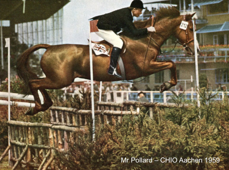 Pat Smythe - A Legendary Showjumper